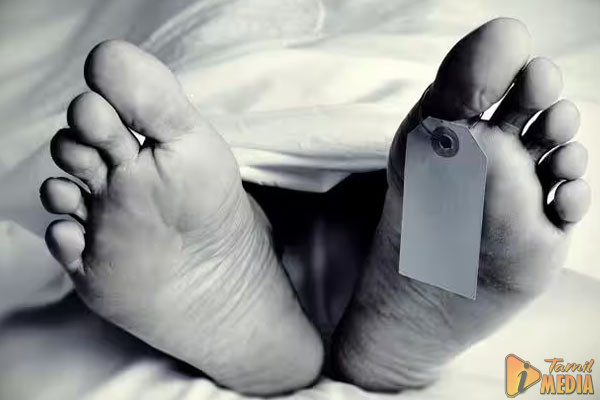 யாழில் தென்னை மரத்திலிருந்து விழுந்த தந்தைக்கு நேர்ந்த சோகம்