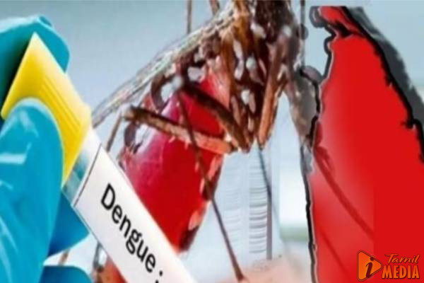 டெங்கு பரவல் சடுதியாக அதிகரிப்பு