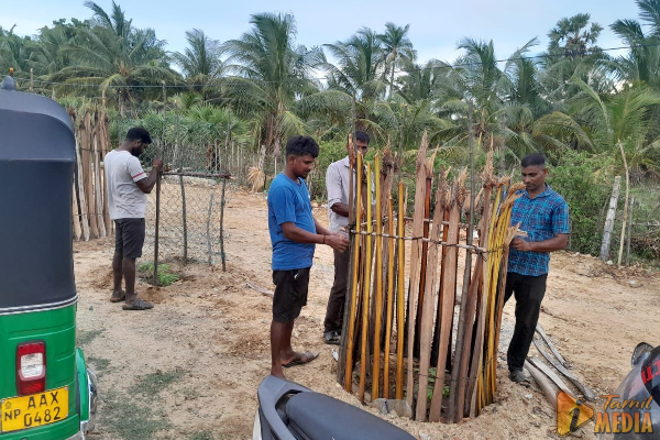 கிளிநொச்சியில் மர நடுகை ; முச்சக்கரவண்டி சாரதிகளின் முன்மாதிரியான செயல்