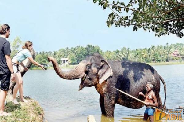 நாட்டில் சுற்றுலாப் பயணிகளின் வருகை அதிகரிப்பு