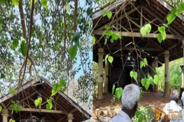 இலங்கையில் மிகவும் பழமை வாய்ந்த ஆலயத்தில் மீண்டும் வழிபாட அனுமதி!
