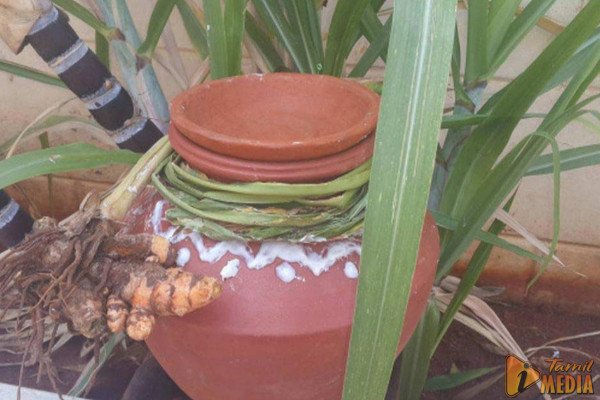 பொங்கல் வைக்க நல்ல நேரம் எது தெரியுமா?