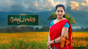 சன் டிவியின் மூன்று முடிச்சு சீரியலில் என்ட்ரி கொடுக்கும் புதிய நடிகர்.. யார் தெரியுமா?