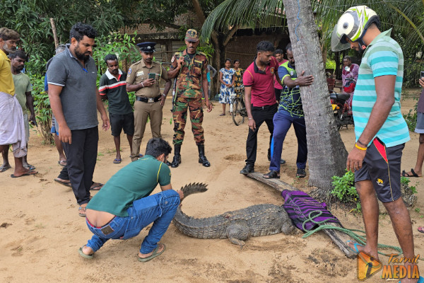 மட்டக்களப்பில் 6 அடி நீள அழையா விருந்தாளியால் பரபரப்பு!