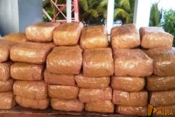 இலங்கைக்கு கடத்தப்படவிருந்த பெருந்தொகை ஆபத்தான பொருட்கள் ; மடக்கி பிடித்த இந்திய பொலிஸார்